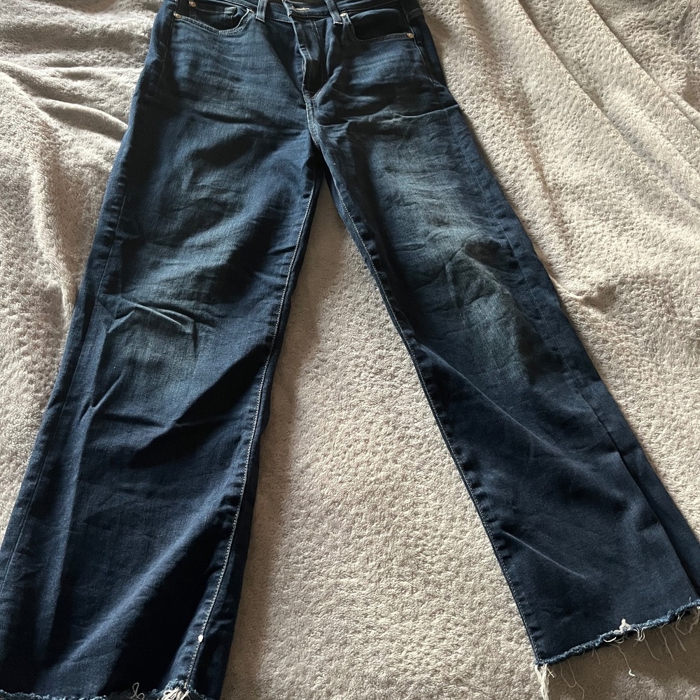 7 for all mankind Alexa cropped